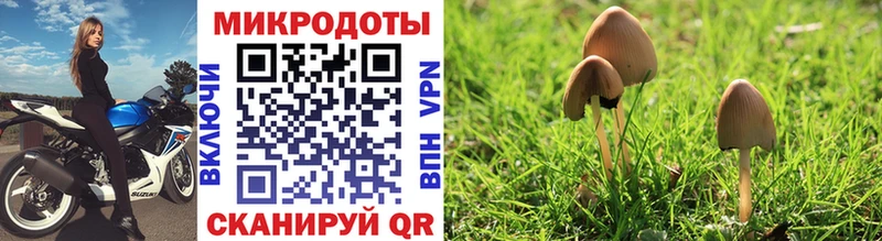 Галлюциногенные грибы мицелий  Сураж 